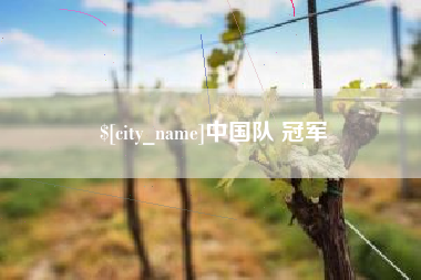 寿光中国队 冠军