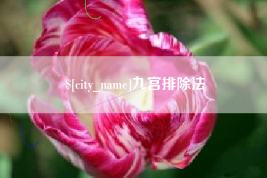 寿光九宫排除法