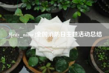 寿光全国消防日主题活动总结