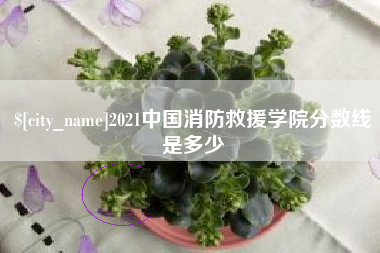 寿光2021中国消防救援学院分数线是多少