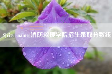 寿光消防救援学院招生录取分数线