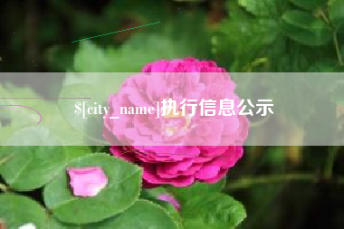 寿光执行信息公示