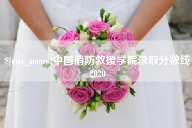寿光中国消防救援学院录取分数线2020