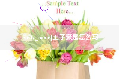 寿光王子豪是怎么写
