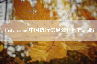 寿光中国执行信息公开网有app吗