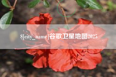 寿光谷歌卫星地图2025