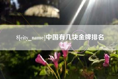 寿光中国有几块金牌排名