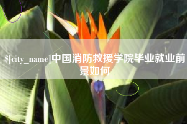 寿光中国消防救援学院毕业就业前景如何