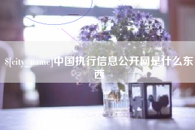 寿光中国执行信息公开网是什么东西