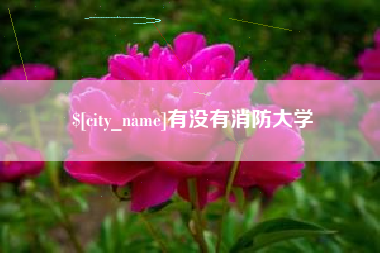 寿光有没有消防大学