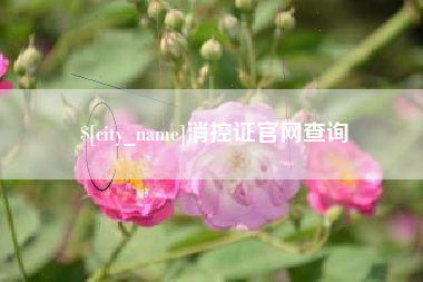 寿光消控证官网查询