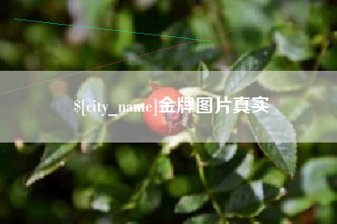寿光金牌图片真实