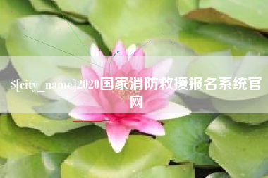 寿光2020国家消防救援报名系统官网