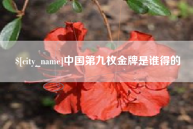 寿光中国第九枚金牌是谁得的