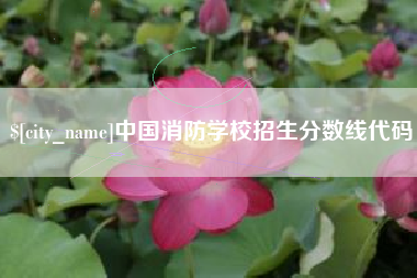 寿光中国消防学校招生分数线代码