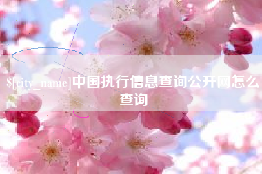 寿光中国执行信息查询公开网怎么查询