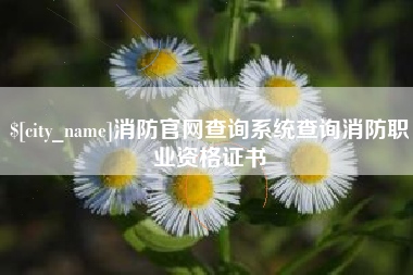 寿光消防官网查询系统查询消防职业资格证书