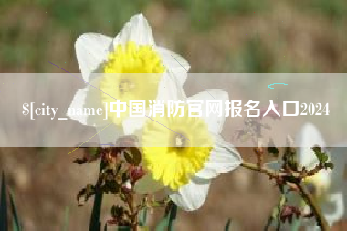 寿光中国消防官网报名入口2024