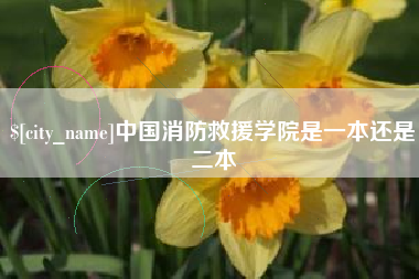 寿光中国消防救援学院是一本还是二本