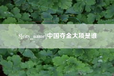 寿光中国夺金大项是谁