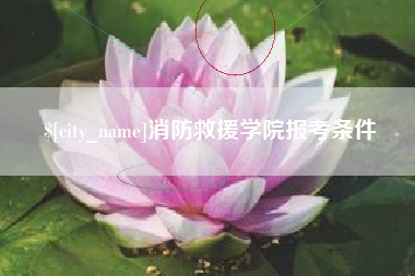 寿光消防救援学院报考条件