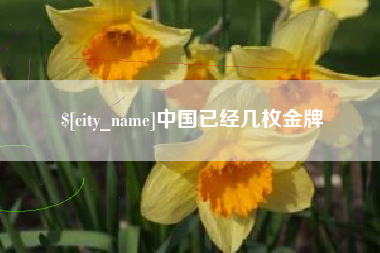 寿光中国已经几枚金牌