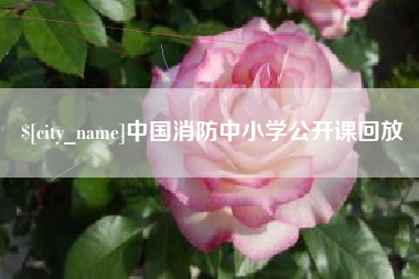 寿光中国消防中小学公开课回放