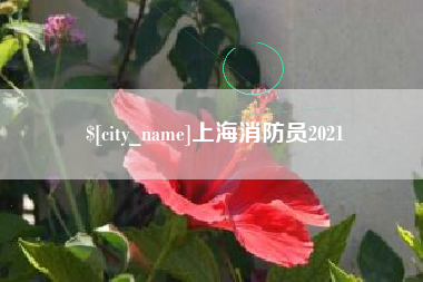 寿光上海消防员2021