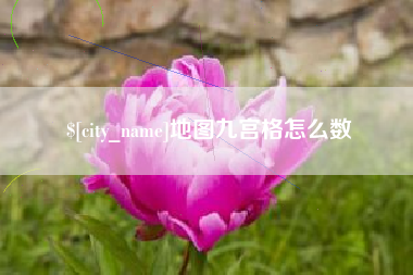 寿光地图九宫格怎么数