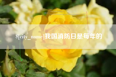 寿光我国消防日是每年的