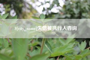 寿光失信被执行人杳询