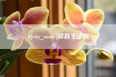 寿光邱县王子磊