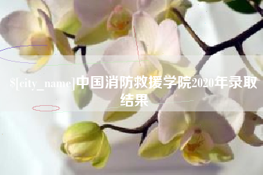 寿光中国消防救援学院2020年录取结果