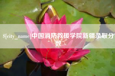 寿光中国消防救援学院新疆录取分数