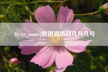寿光我国消防日几月几号