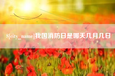 寿光我国消防日是哪天几月几日
