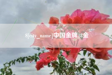 寿光中国金牌18金