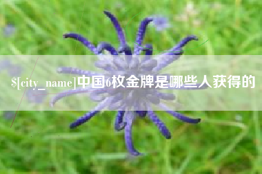 寿光中国6枚金牌是哪些人获得的