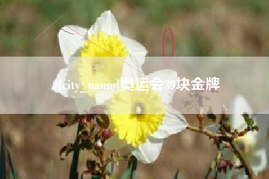 寿光奥运会39块金牌