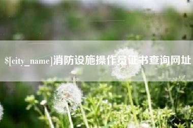 寿光消防设施操作员证书查询网址