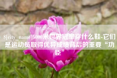 寿光5000米世界冠军穿什么鞋-它们是运动员取得优异成绩背后的重要“功臣”