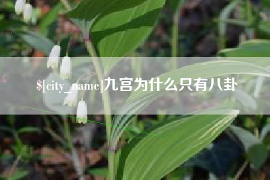 寿光九宫为什么只有八卦