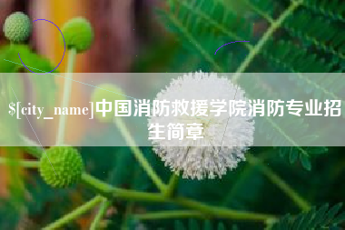 寿光中国消防救援学院消防专业招生简章