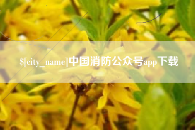 寿光中国消防公众号app下载