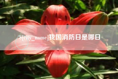 寿光我国消防日是哪日