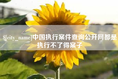寿光中国执行案件查询公开网都是执行不了得案子