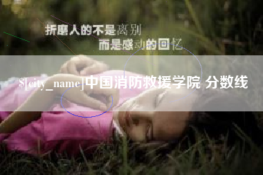 寿光中国消防救援学院 分数线
