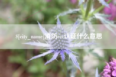 寿光消防ccc认证什么意思