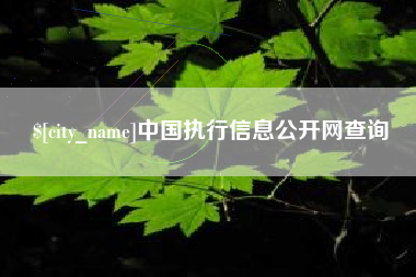 寿光中国执行信息公开网查询