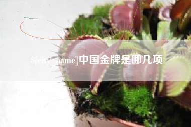 寿光中国金牌是哪几项